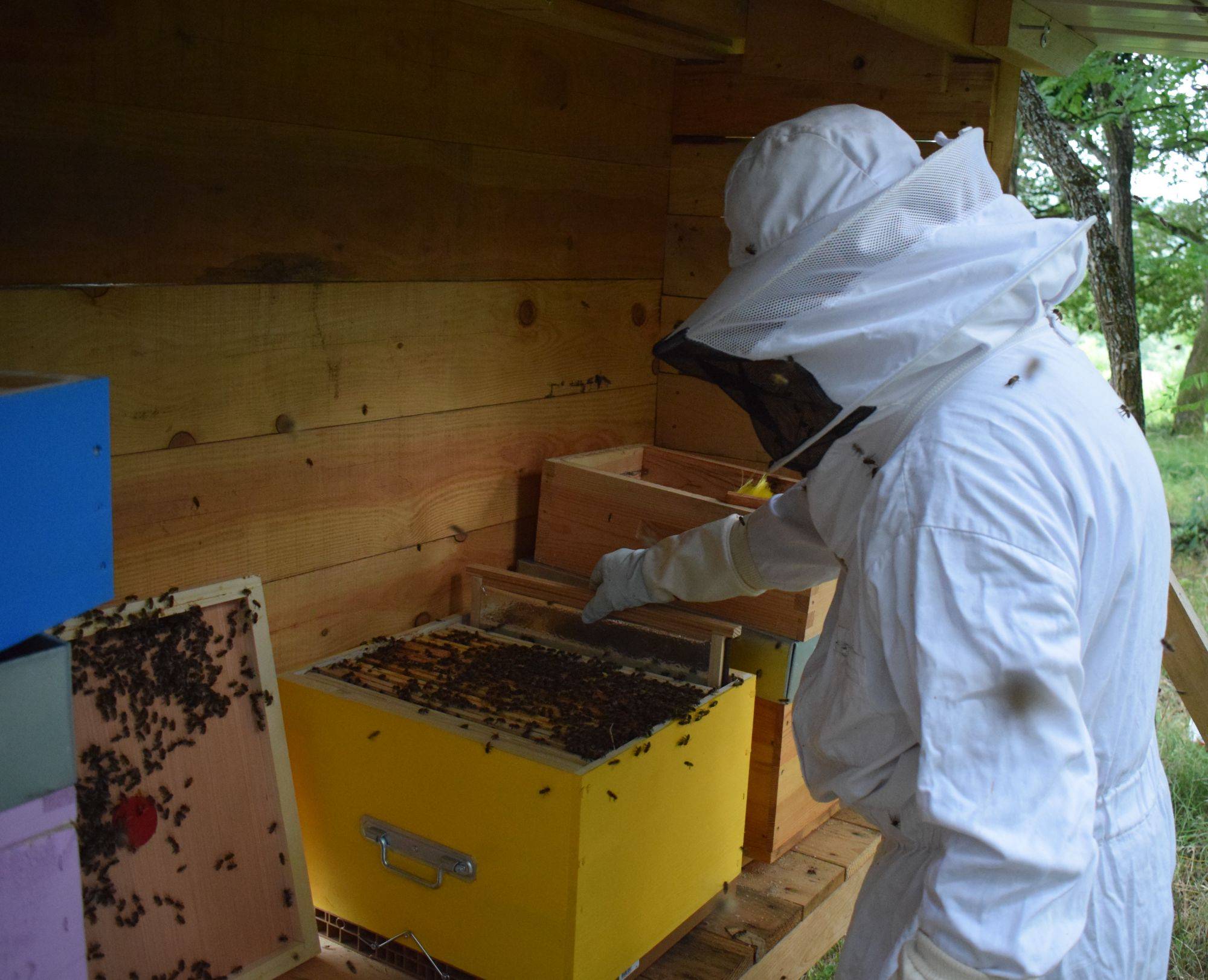 Isolation pour ruche à Belfort, Montbéliard et Mulhouse Épinal 0
