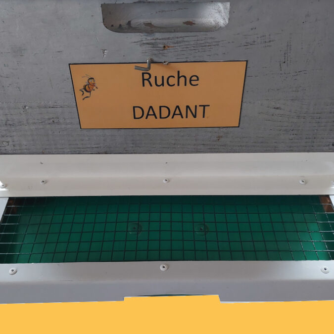 Isolation des ruches avec l&#8217;isolant BALBItherm® Besançon 26