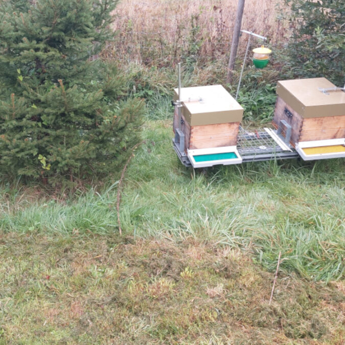 Isolation pour ruche à Belfort, Montbéliard et Mulhouse Belfort 31