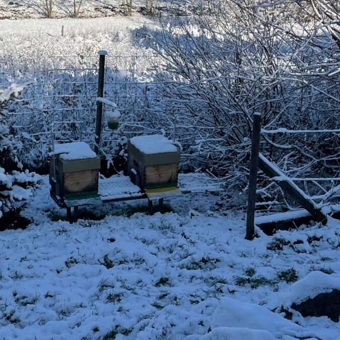 Isolation pour ruche à Belfort, Montbéliard et Mulhouse Audincourt 30