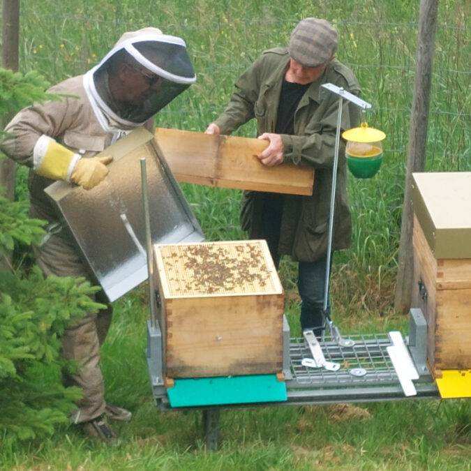Isolation pour ruche à Belfort, Montbéliard et Mulhouse Vesoul 20