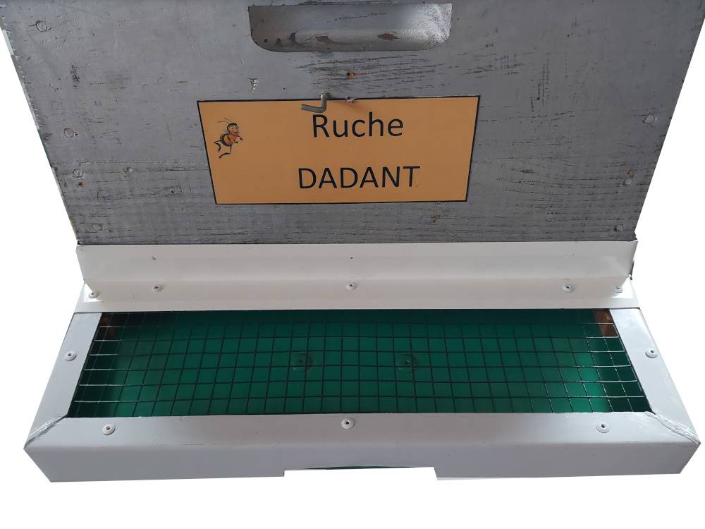 B MUSELIERE A FRELON 1 | Balbimax Isolation pour ruche à Belfort, Montbéliard et Mulhouse Épinal 24