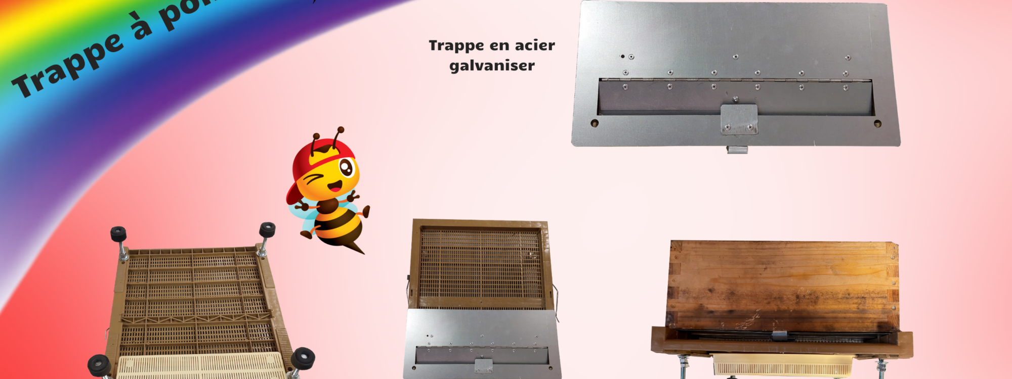 Trappe à Pollen Colmar