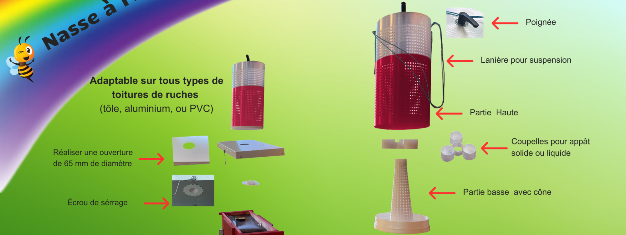 Nasse &agrave; Frelons Mulhouse